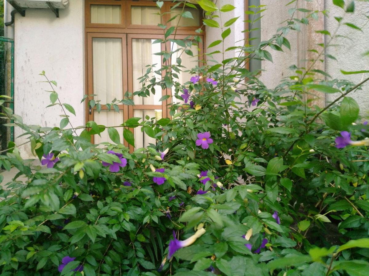 Walse Park Residence Kandy Exterior photo